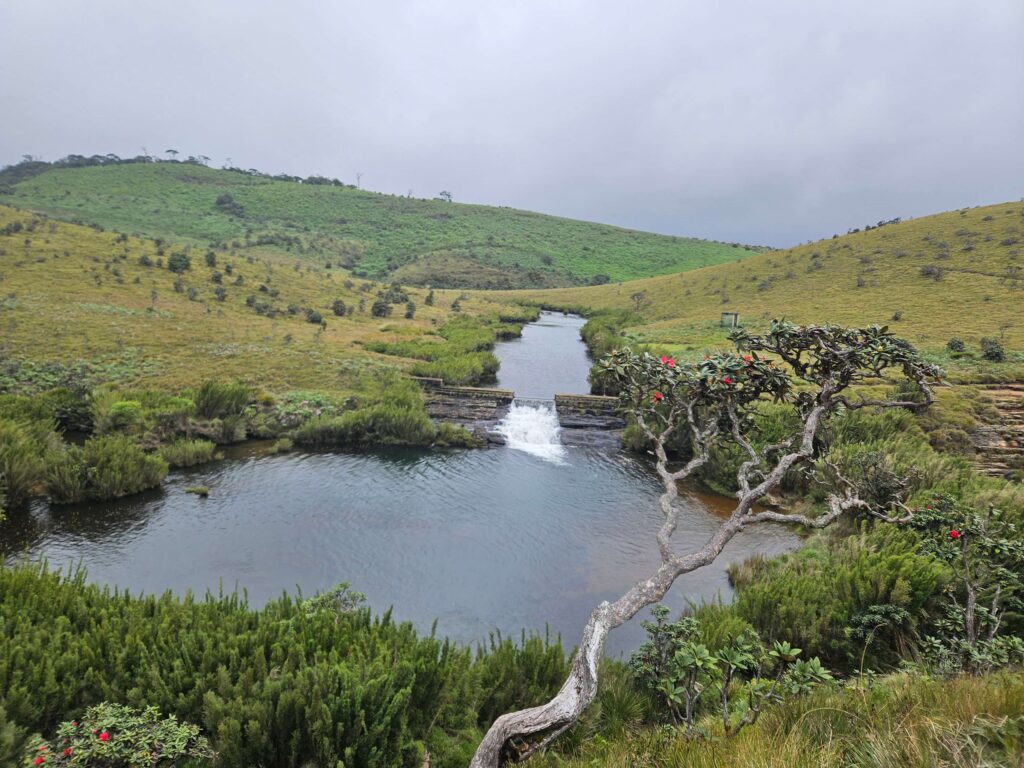 Horton plains banner