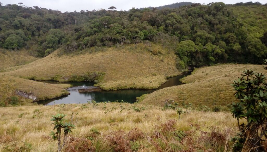 Horton Plains black pool