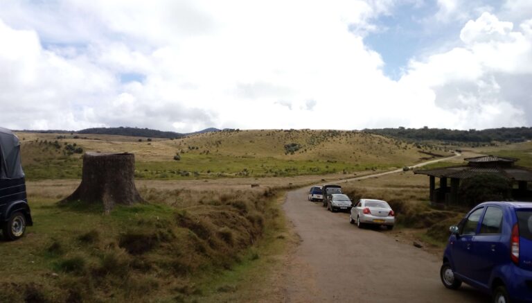 Horton plains - Ohiya Road