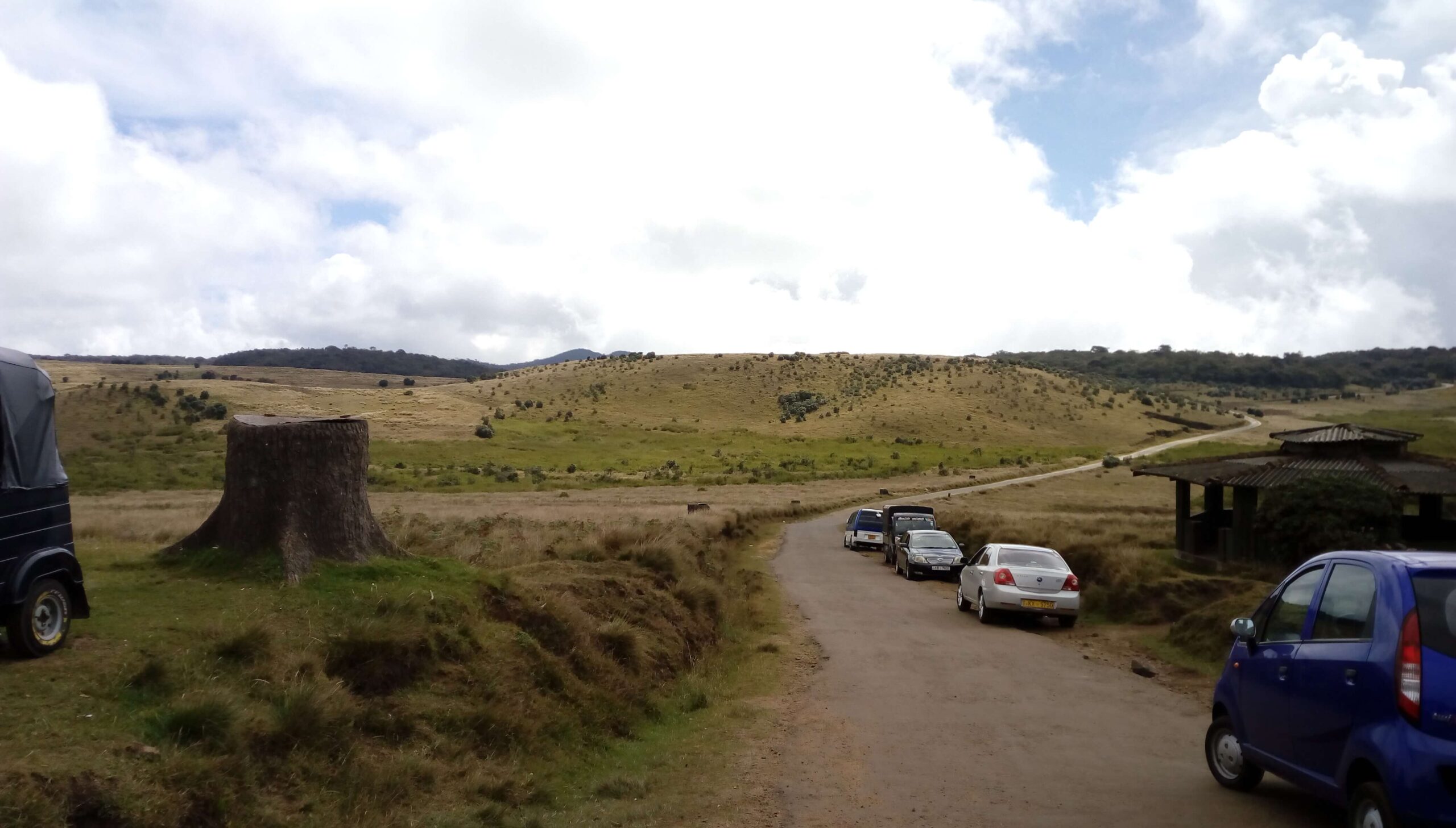 Horton plains - Ohiya Road