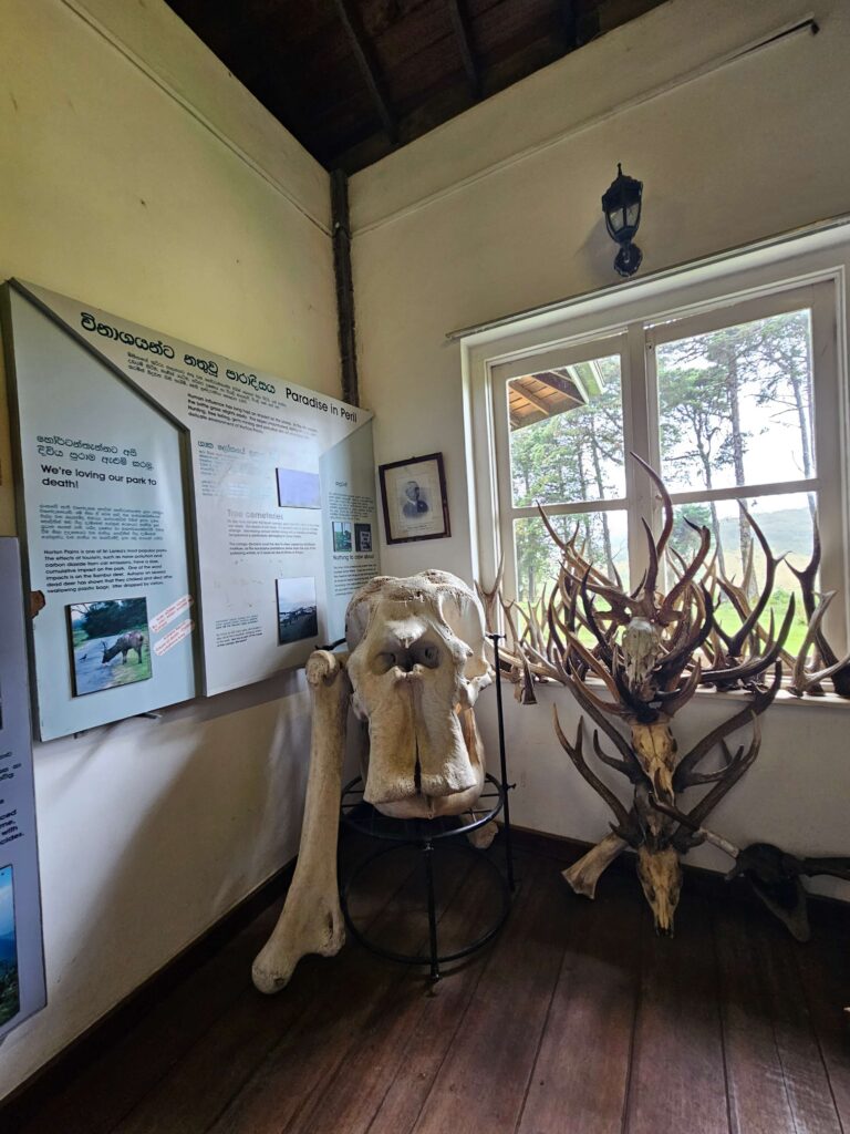 Wild Life Archives