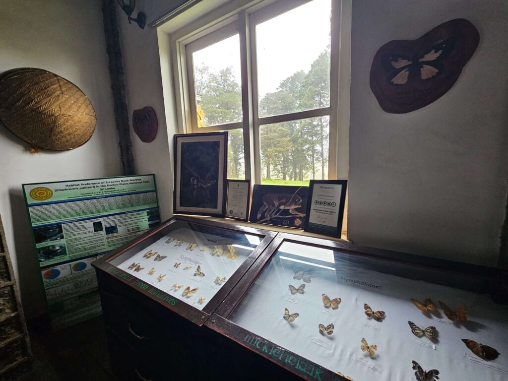 Protected butterflies
