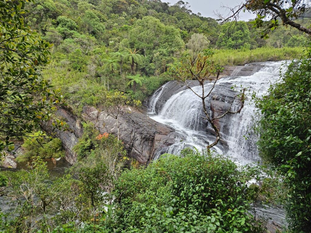 Baker`s falls from Forest
